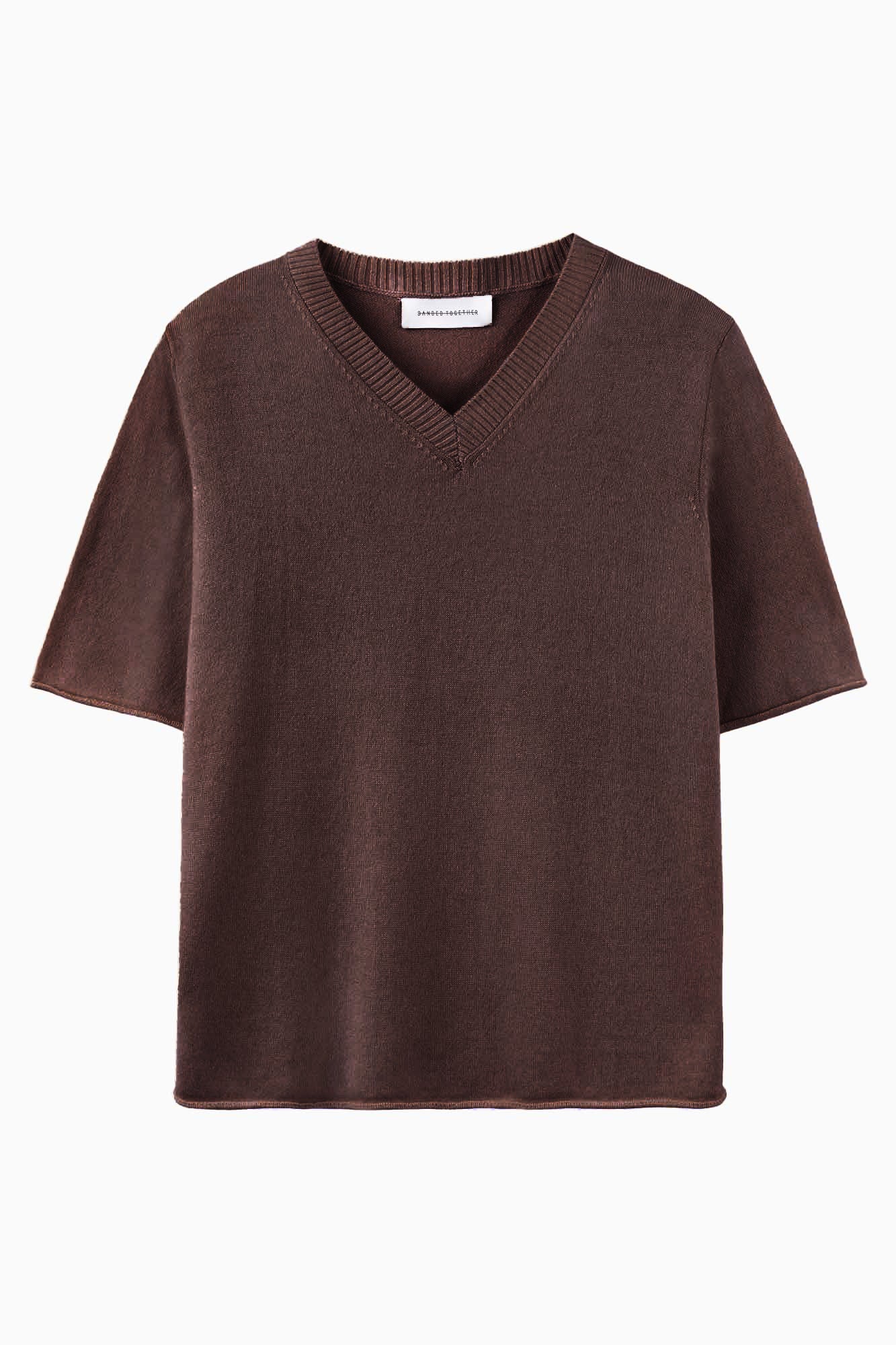 Cashmere Shrunken V-Neck T - Black Fig